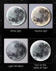 Nordic LED Moon Indoor Light